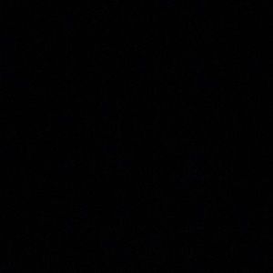 Meet your Posher, Darci